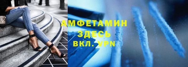 молекула духа Арсеньев