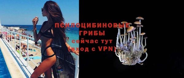 молекула духа Арсеньев