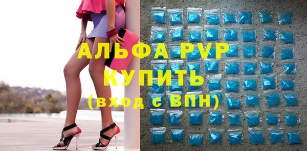 молекула духа Арсеньев