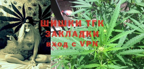 молекула духа Арсеньев