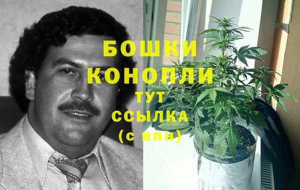 ГАЛЛЮЦИНОГЕННЫЕ ГРИБЫ Дубовка